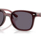 Transparent Dark Brown №659373
