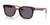 Ray-Ban RB4461D Sunglasses | Size 64 / Transparent Dark Brown №659373