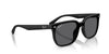 Ray-Ban RB4466D Sunglasses | Size 147 / Transparent Grey №645087 / Dark Grey (2N 20.2%)