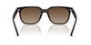Ray-Ban RB4466D Sunglasses | Size 147 / Transparent Grey №645087 / Dark Grey (2N 20.2%)