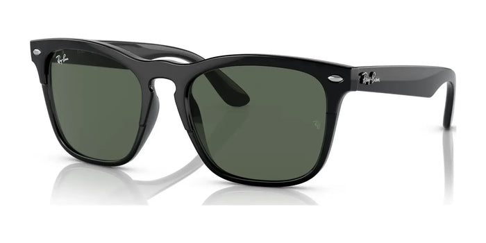 Ray-Ban STEVE RB4487 Sunglasses | Size 54 / Black №662971 / Dark Green (3N 14.3%)