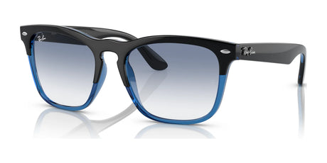 Ray-Ban STEVE RB4487 Sunglasses Black On Blue / Blue