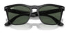 Ray-Ban STEVE RB4487F Sunglasses | Size 54 / Black №662971 / Dark Green (3N 14.3%)