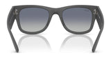 Ray-Ban RB4840S Sunglasses