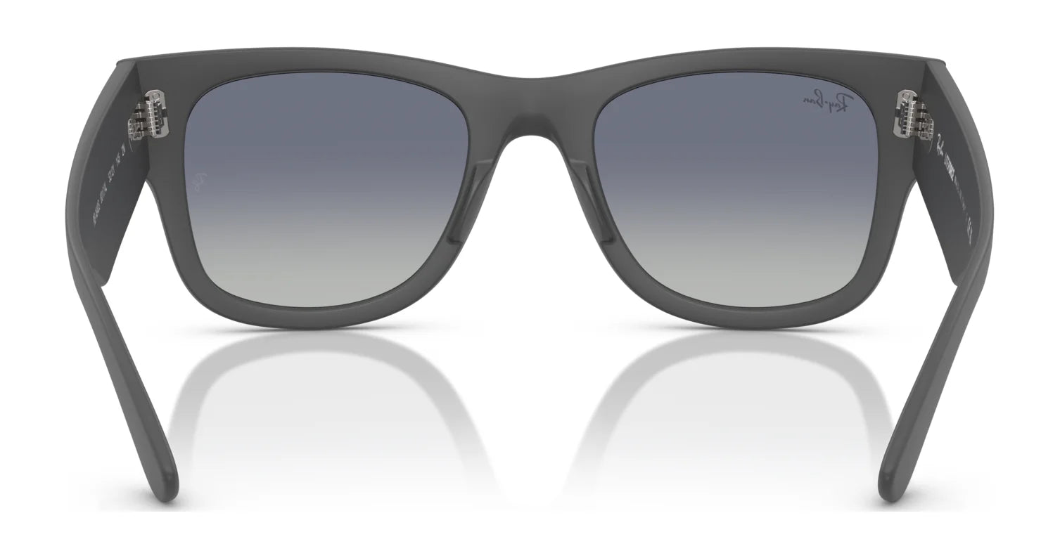 Ray-Ban RB4840S Sunglasses