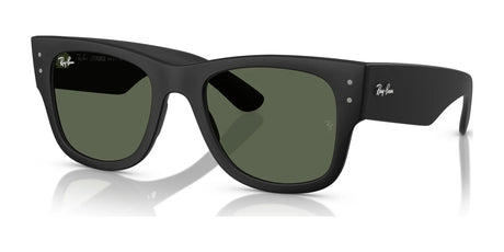 Ray-Ban RB4840S Sunglasses