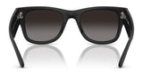 Ray-Ban RB4840S Sunglasses