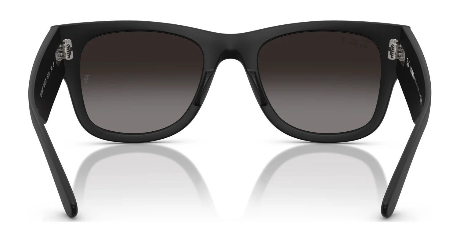 Ray-Ban RB4840S Sunglasses