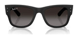 Ray-Ban RB4840S Sunglasses