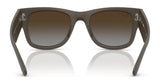 Ray-Ban RB4840S Sunglasses