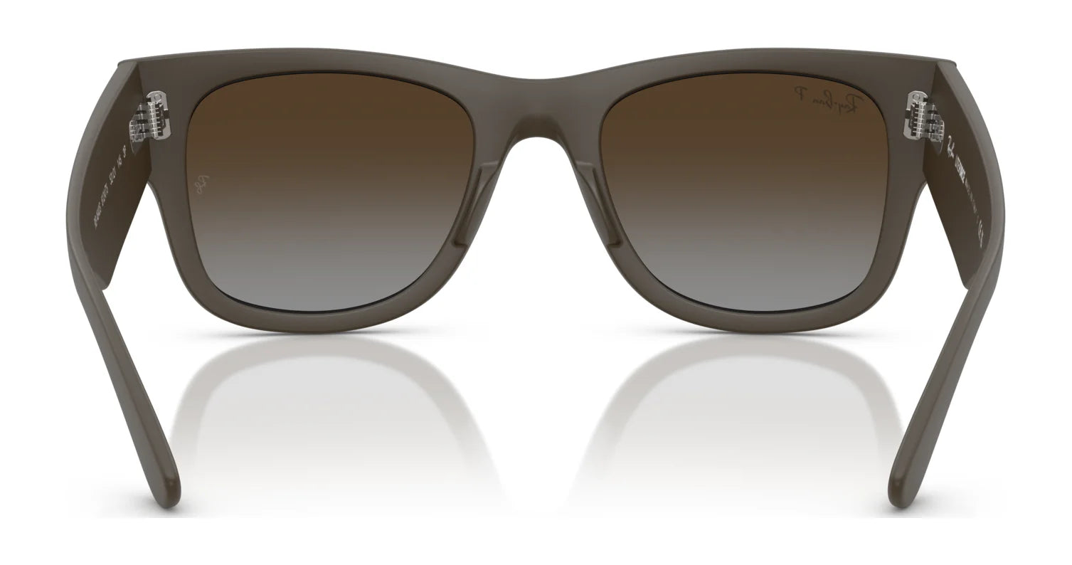 Ray-Ban RB4840S Sunglasses