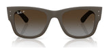 Ray-Ban RB4840S Sunglasses