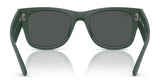 Ray-Ban RB4840S Sunglasses