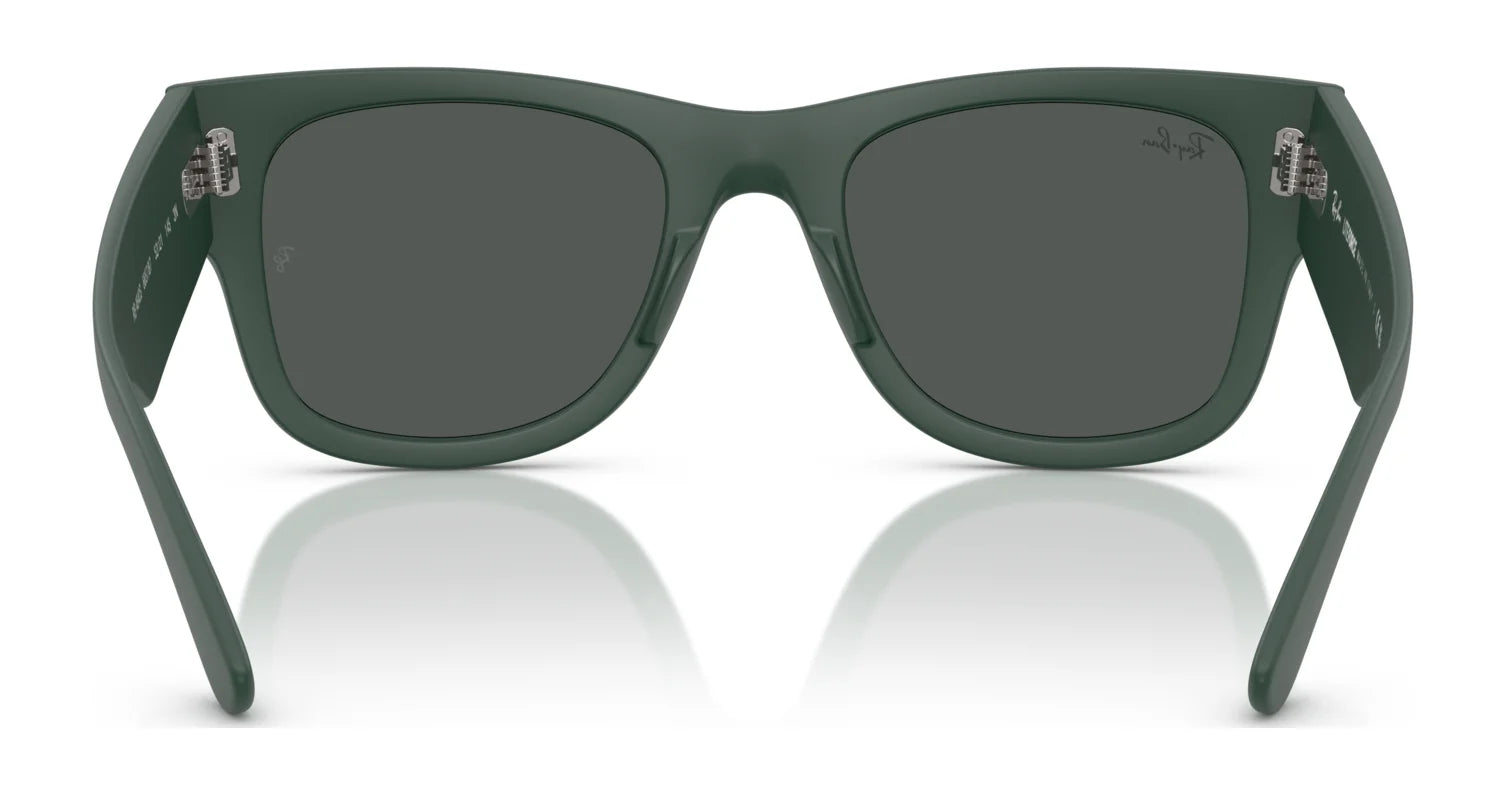 Ray-Ban RB4840S Sunglasses