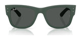 Ray-Ban RB4840S Sunglasses