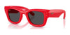Ray-Ban WAYFARER PUFFER RB4940 Sunglasses | Size 47 / Red №683187 / Ultra Black (3N 10.1%)