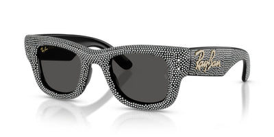 Ray-Ban WAYFARER PUFFER RB4940BP Sunglasses Black & Strass Pave / Ultra Black