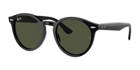 Ray-Ban LARRY RB7680S Sunglasses Black / Green