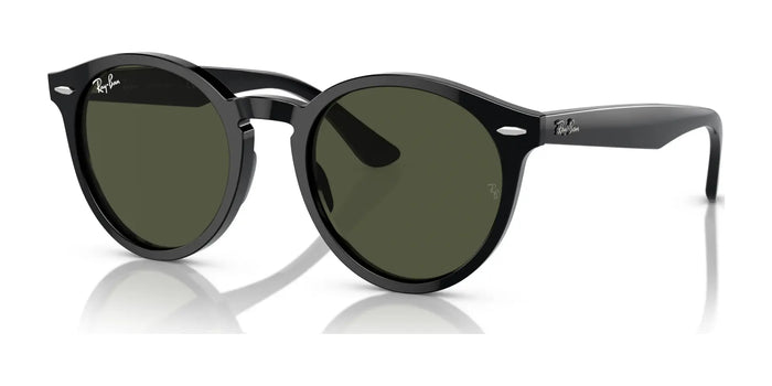 Ray-Ban LARRY RB7680S Sunglasses / Black №901/31 / Green (3N 13.2%) / Size 49