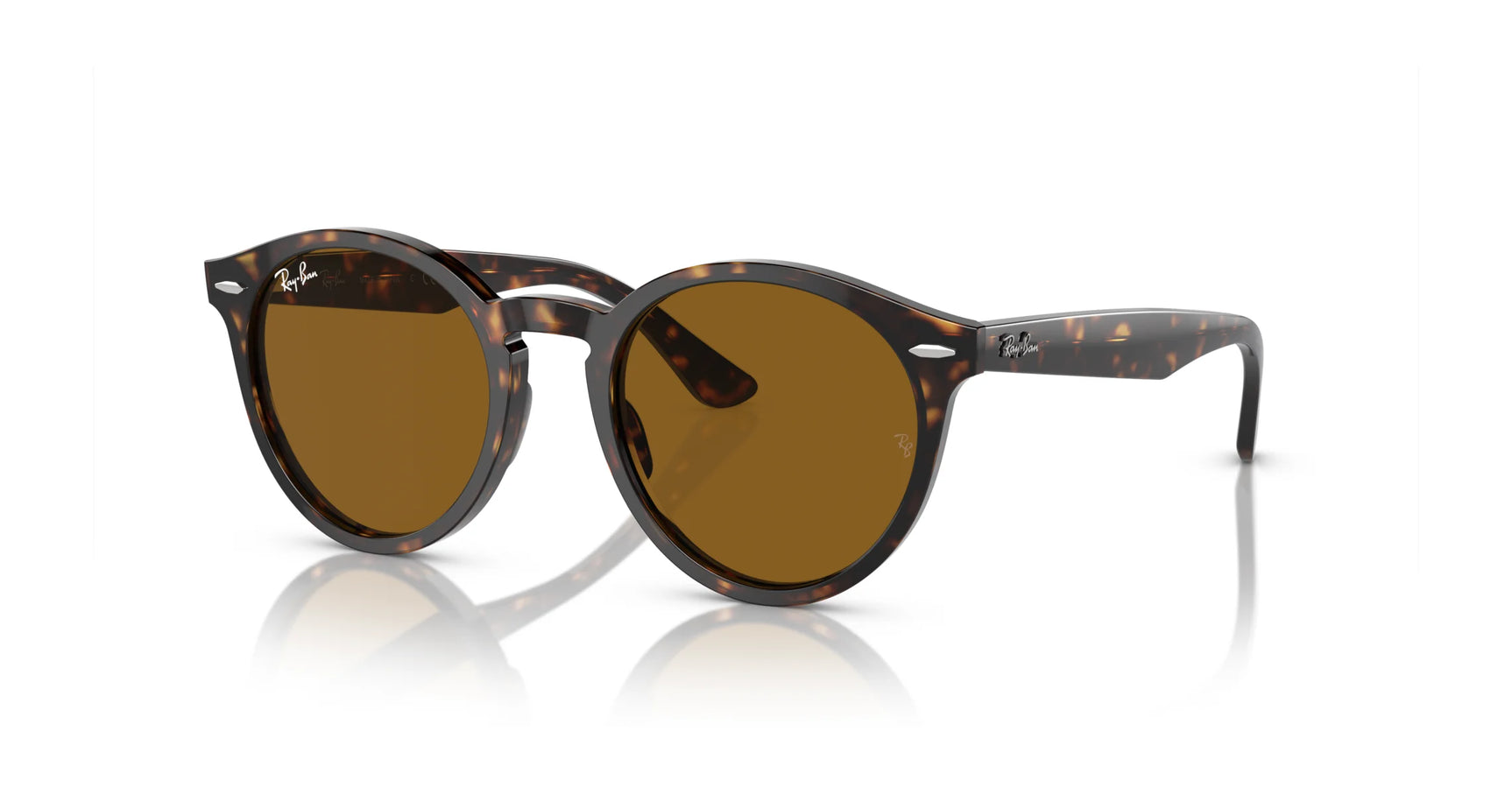 The Ray-Ban LARRY RB7680S Havana №902/33 sunglasses, featuring a tortoiseshell round design with brown lenses, are crafted from premium acetate and elegantly displayed on a white reflective surface.