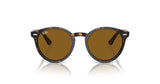 Retro sunglasses with brown lenses and premium tortoiseshell acetate frames, reminiscent of Ray-Ban LARRY RB7680S, set stylishly against a white background.