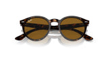 Ray-Ban LARRY RB7680S retro sunglasses feature premium tortoiseshell acetate frames with round brown-tinted lenses, elegantly displayed against a crisp white background.