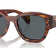 Striped Havana №954/R5