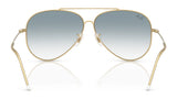 Ray-Ban AVIATOR REVERSE RBR0101S Sunglasses