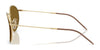 Ray-Ban ROUND REVERSE RBR0103S Sunglasses / Arista Gold №001/VR / Dark Green (3N 14.9%) / Size 53