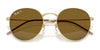 Ray-Ban ROUND REVERSE RBR0103S Sunglasses / Arista Gold №001/VR / Dark Green (3N 14.9%) / Size 53