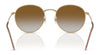 Ray-Ban ROUND REVERSE RBR0103S Sunglasses / Arista Gold №001/VR / Dark Green (3N 14.9%) / Size 53