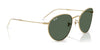 Ray-Ban ROUND REVERSE RBR0103S Sunglasses / Arista Gold №001/VR / Dark Green (3N 14.9%) / Size 53