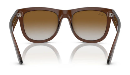 Ray-Ban WAYFARER REVERSE RBR0502S Sunglasses