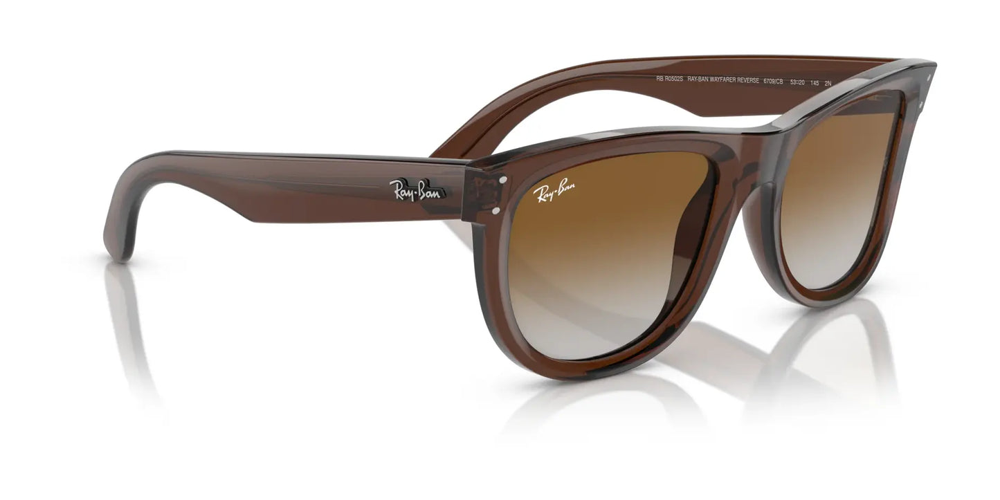 Ray-Ban WAYFARER REVERSE RBR0502S Sunglasses