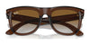Ray-Ban WAYFARER REVERSE RBR0502S Sunglasses / Black №6677VR / Dark Green (3N 14.9%) / Size 50