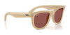 Ray-Ban WAYFARER REVERSE RBR0502S Sunglasses / Black №6677VR / Dark Green (3N 14.9%) / Size 50