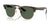 Ray-Ban CLUBMASTER REVERSE RBR0504S Sunglasses / Havana №1359VR