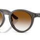 Transparent Dark Grey №6707CB