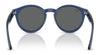 Ray-Ban RBR0505S Sunglasses | Size 52 / Black №6677VR / Dark Green (3N 14.9%)