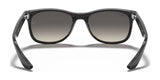 Ray-Ban JUNIOR NEW WAYFARER RJ9052S Sunglasses