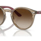 Transparent Brown №712313