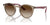 Ray-Ban RJ9064S Sunglasses | Size 44 / Transparent Brown №712313
