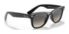 Ray-Ban JUNIOR WAYFARER RJ9066S Sunglasses | Size 47 / Black №100/11 / Light Grey/Dark Grey (2N 22.8%)