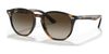 Ray-Ban RJ9070S Sunglasses | Size 46 / Havana №152/13 / Brown/Dark Brown (3N 16%)