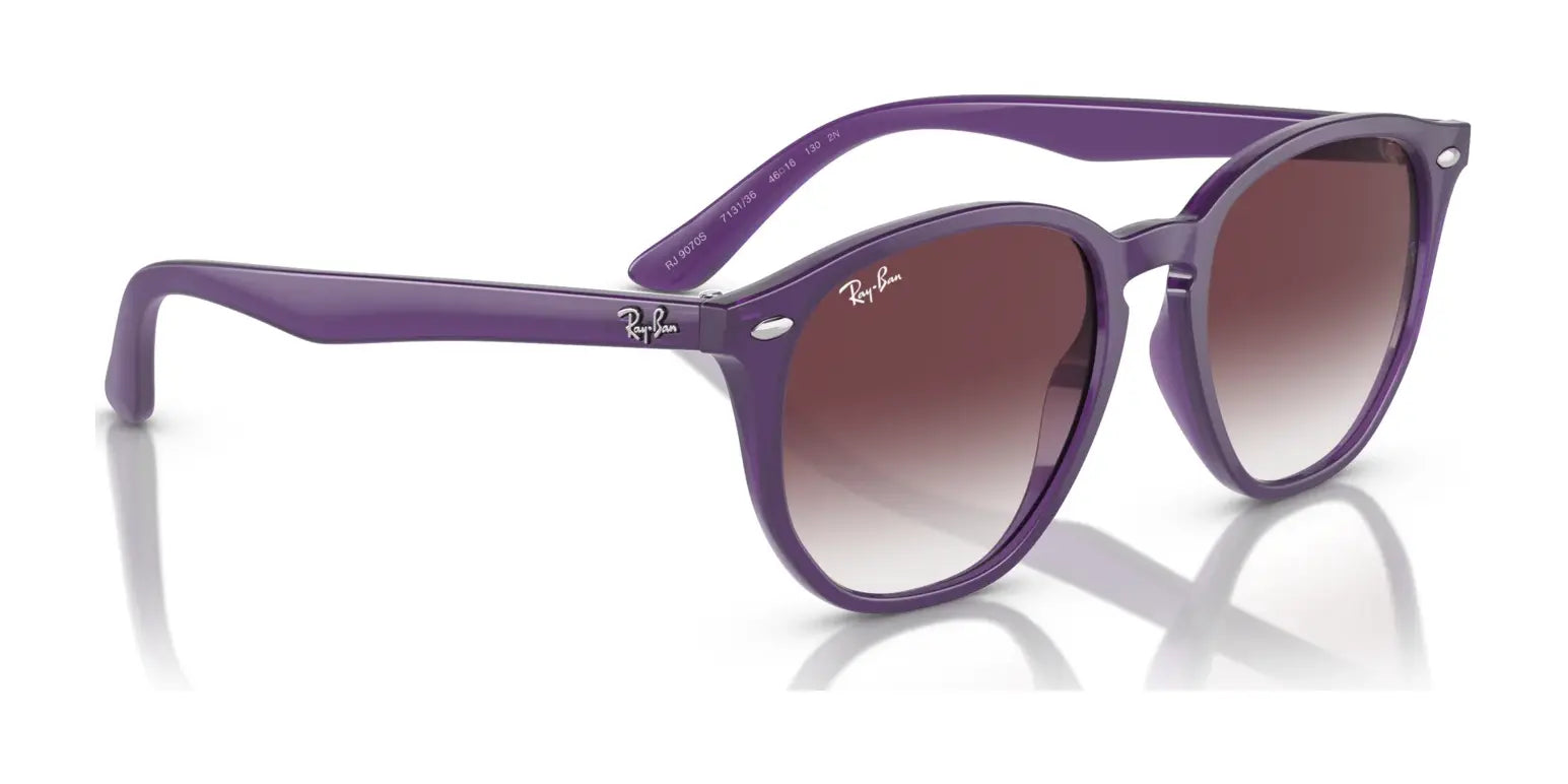 Ray-Ban RJ9070S Sunglasses | Size 46