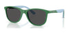 Ray-Ban RJ9077S Sunglasses | Size 49 / Green On Rubber Light Blue №718887 / Dark Grey (3N 10.1%)
