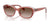 Ray-Ban RJ9081S Sunglasses | Size 48 / Striped Pink On Transparent Pink №717313