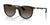 Ray-Ban RJ9082S Sunglasses | Size 47 / Havana №7182T5