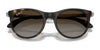 Ray-Ban RJ9082S Sunglasses | Size 47 / Matte Black №718371 / Dark Green (3N 12.9%)
