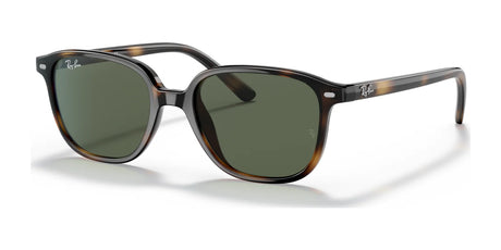 Ray-Ban JUNIOR LEONARD RJ9093S Sunglasses | Size 45